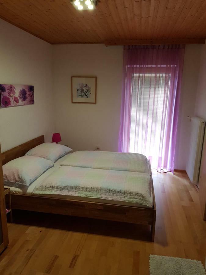 Apartment Familie Haupt Bad Aussee Ngoại thất bức ảnh